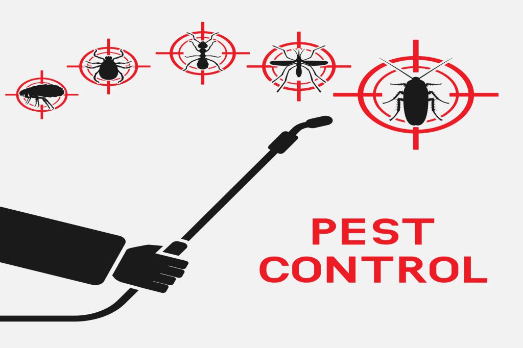 pest-control-hampstead-15