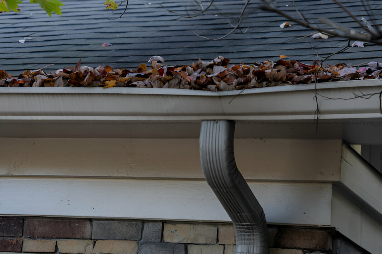 Gutter Cleaning